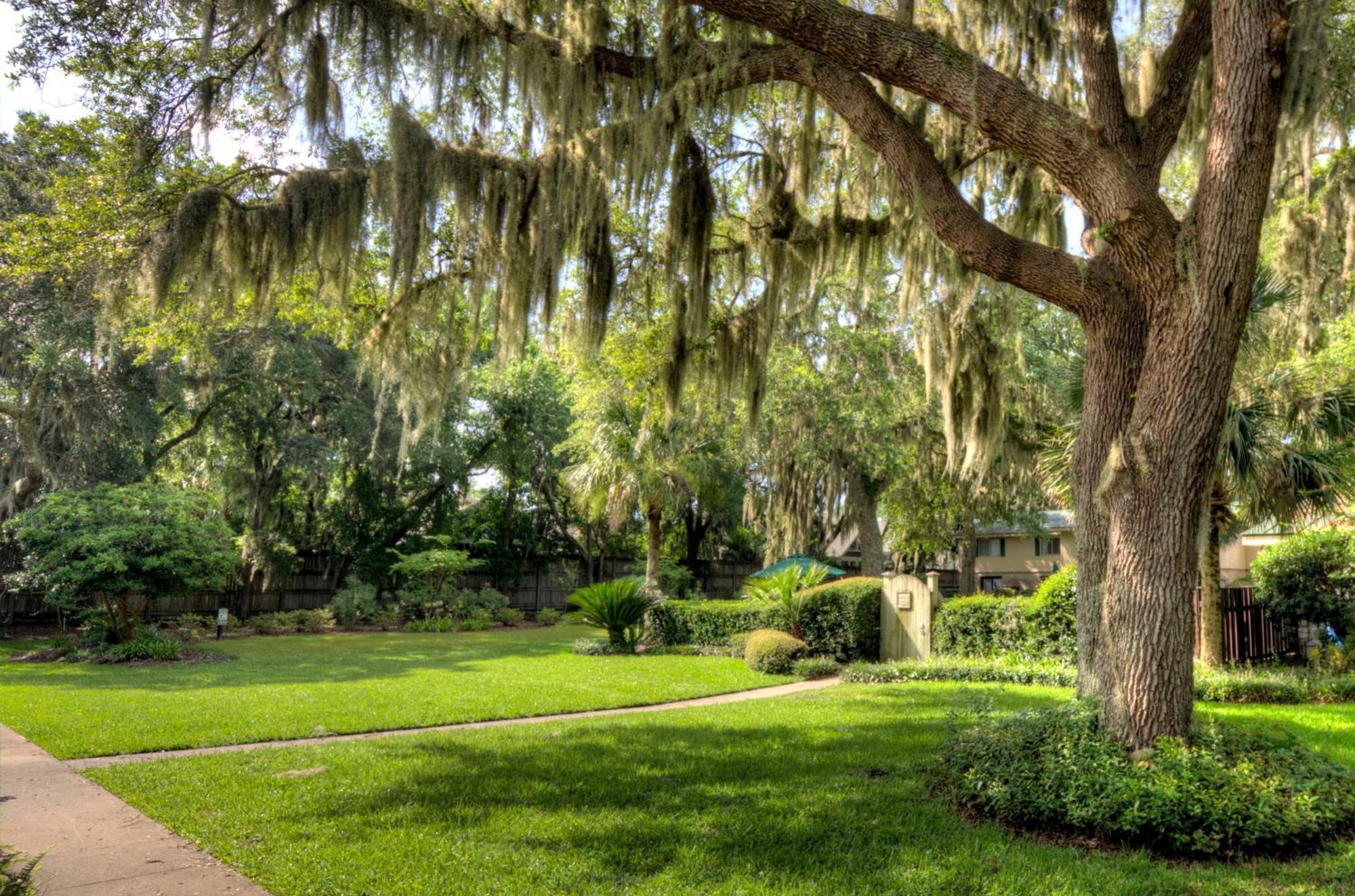 Turtle Cove- 2 Bedroom 1 And A Half Bathrooms St. Simons Island Extérieur photo